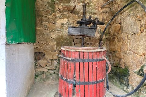 Villa i Bela, Viana do Castelo, Bela - € 126.000 | Ref: UNU-F1-09-6 - foto 11