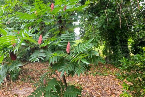 Villa i Bela, Viana do Castelo, Bela - € 126.000 | Ref: UNU-F1-09-6 - foto 33