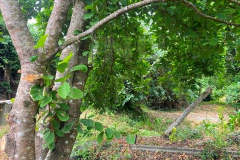 Villa i Bela, Viana do Castelo, Bela - € 126.000 | Ref: UNU-F1-09-6 - foto 34