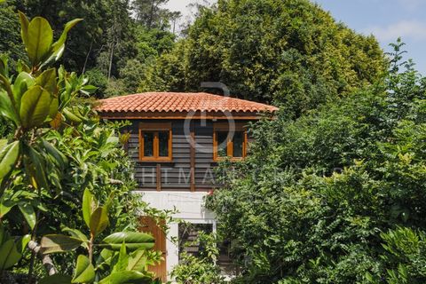 Villa i Sintra, Lisbon, Sintra - € 1.690.000 | Ref: M0464.AF.ES - foto 34