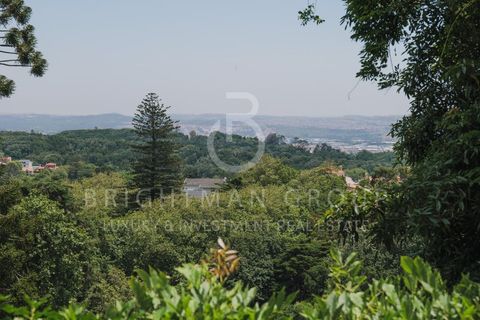 Villa i Sintra, Lisbon, Sintra - € 1.690.000 | Ref: M0464.AF.ES - foto 36