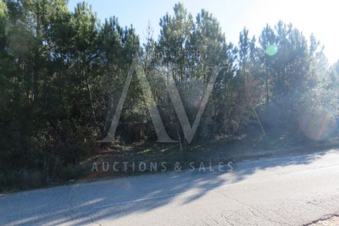 Helårsgrund i Fatima, Santarem, Fatima - € 52.498 | Ref: AV1203_V1 - foto 2