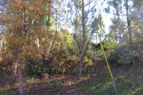Helårsgrund i Fatima, Santarem, Fatima - € 52.498 | Ref: AV1203_V1 - foto 11