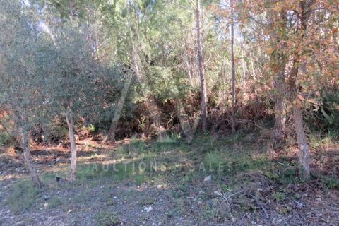 Helårsgrund i Fatima, Santarem, Fatima - € 52.498 | Ref: AV1203_V1 - foto 12