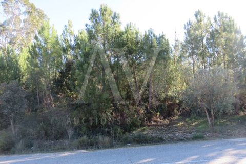 Helårsgrund i Fatima, Santarem, Fatima - € 52.498 | Ref: AV1203_V1 - foto 14