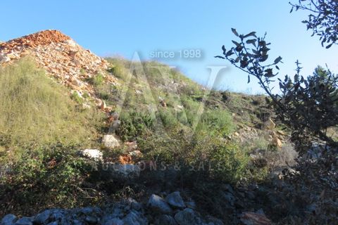 Helårsgrund i Fatima, Santarem, Fatima - € 52.498 | Ref: AV1203_V1 - foto 18