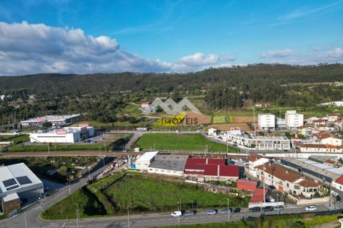 Helårsgrund i Valongo, Porto, Valongo - € 350.000 | Ref: MM184/26VLG/CS(2) - foto 6