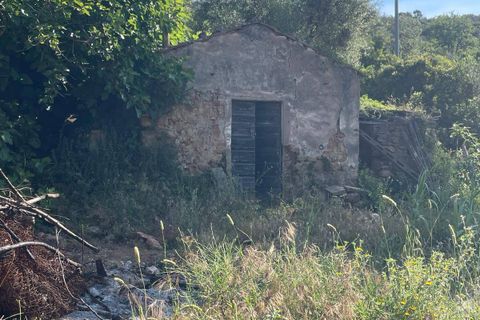 Villa i Monte Argentario, Grosseto, Monte Argentario - € 100.000 | Ref: 181 - foto 2