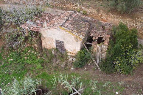 Villa i Monte Argentario, Grosseto, Monte Argentario - € 100.000 | Ref: 181 - foto 3