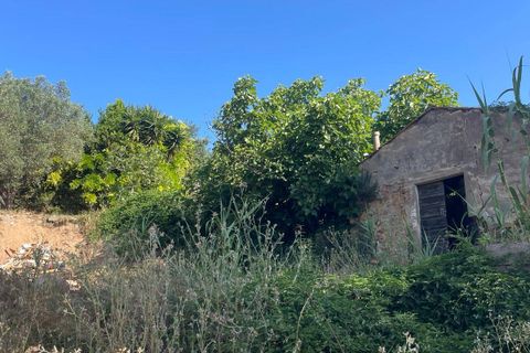 Villa i Monte Argentario, Grosseto, Monte Argentario - € 100.000 | Ref: 181 - foto 5