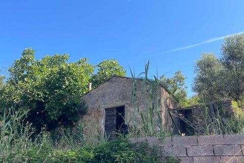 Villa i Monte Argentario, Grosseto, Monte Argentario - € 100.000 | Ref: 181 - foto 6