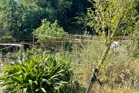 Villa i Monte Argentario, Grosseto, Monte Argentario - € 100.000 | Ref: 181 - foto 7