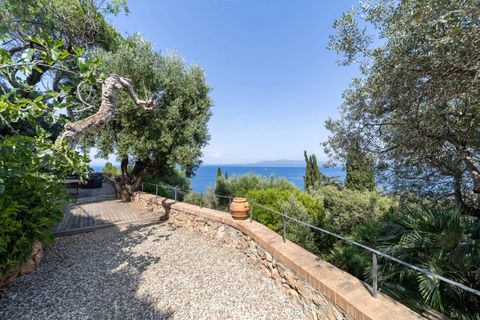 Villa a Monte Argentario, Grosseto, Monte Argentario - € 1.150.000 | Ref: 186 - foto 2