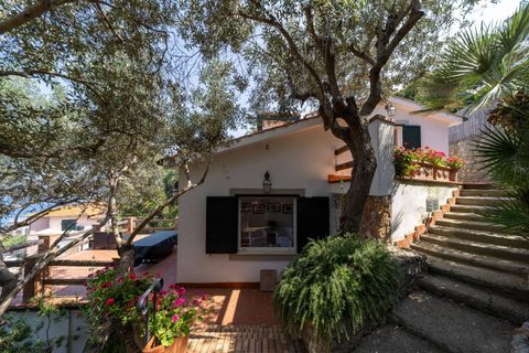 Villa a Monte Argentario, Grosseto, Monte Argentario - € 1.150.000 | Ref: 186 - foto 8