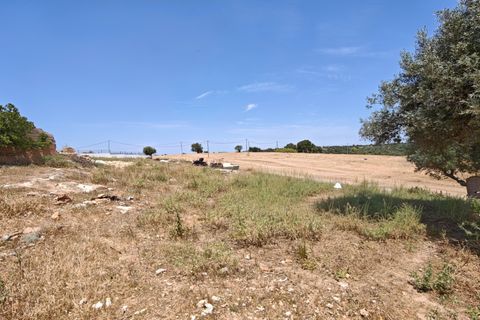 Helårsgrund i Silves, Faro, Silves - € 690.000 | Ref: VSS-1836 - foto 12