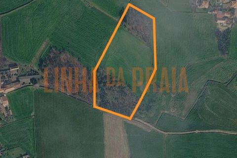 Terreno en Vila do Conde, Porto, Vila do Conde - € 150.000 | Ref: 5606 - photo 1