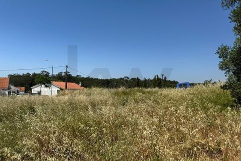 Helårsgrund i Sintra, Lisbon, Sintra - € 234.000 | Ref: KWPT-033842 - foto 4