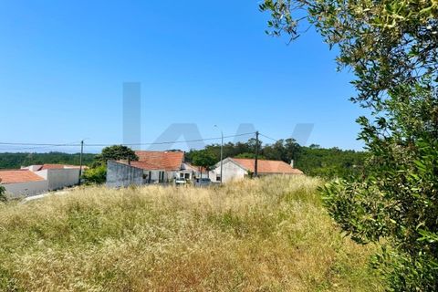 Helårsgrund i Sintra, Lisbon, Sintra - € 234.000 | Ref: KWPT-033842 - foto 8