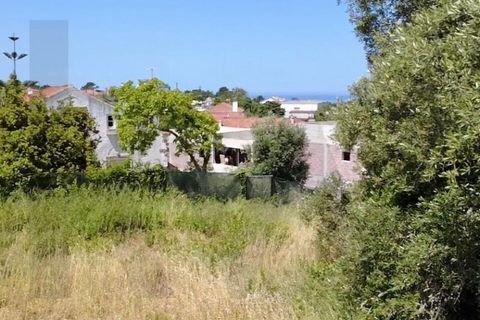 Helårsgrund i Sintra, Lisbon, Sintra - € 234.000 | Ref: KWPT-033842 - foto 10