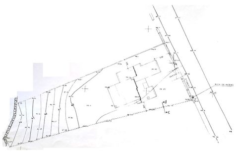 Villa i Albufeira, Faro, Albufeira - € 695.000 | Ref: MCD019 - foto 33