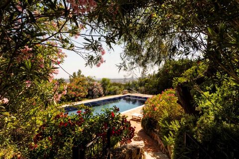 Villa i Tunes, Faro, Tunes - € 2.500.000 | Ref: AGM-MCD022 - foto 4