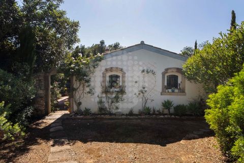 Villa i Tunes, Faro, Tunes - € 2.500.000 | Ref: AGM-MCD022 - foto 32