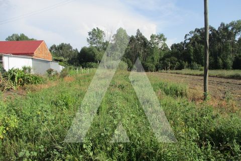 Helårsgrund i Oliveira do Bairro, Aveiro, Oliveira do Bairro - € 30.000 | Ref: 1051413/26 OB - foto 3