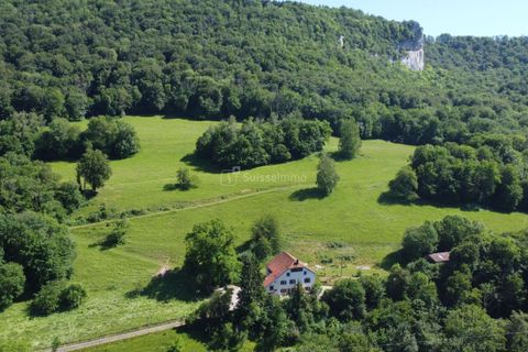 Farm hus i Saint-Hippolyte, Doubs, Saint-Hippolyte - € 299.000 | Ref: 2909-MAI - foto 18