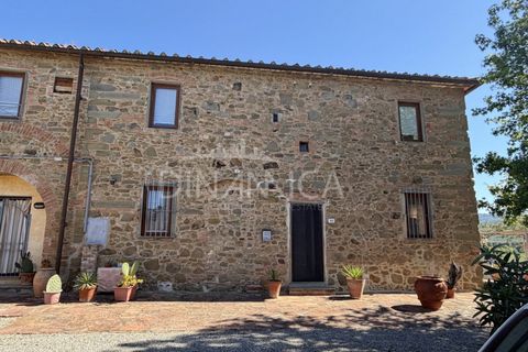 Landejendom i Vinci, Florence, Vinci - € 590.000 | Ref: 1001-110C - foto 2