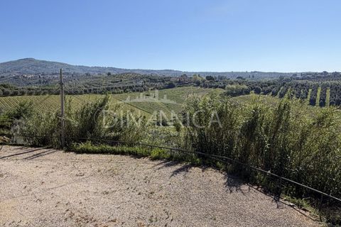 Landejendom i Vinci, Florence, Vinci - € 590.000 | Ref: 1001-110C - foto 12