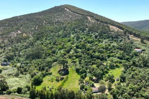 Farm i Estremoz, Evora, Estremoz - € 450.000 | Ref: KWPT-032694 - foto 2