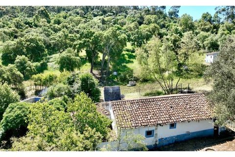 Farm i Estremoz, Evora, Estremoz - € 450.000 | Ref: KWPT-032694 - foto 4