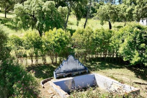 Farm i Estremoz, Evora, Estremoz - € 450.000 | Ref: KWPT-032694 - foto 5