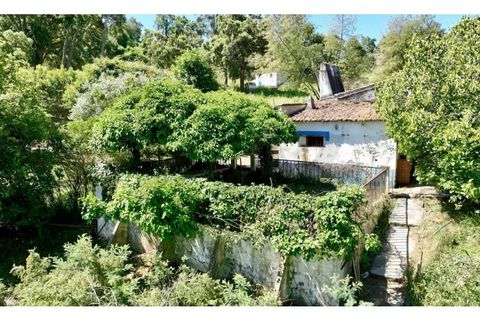 Farm i Estremoz, Evora, Estremoz - € 450.000 | Ref: KWPT-032694 - foto 6
