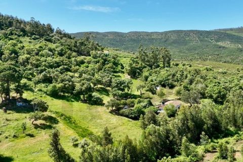 Farm i Estremoz, Evora, Estremoz - € 450.000 | Ref: KWPT-032694 - foto 7