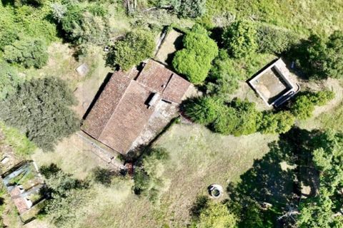 Farm i Estremoz, Evora, Estremoz - € 450.000 | Ref: KWPT-032694 - foto 8