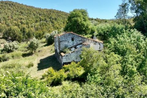 Farm i Estremoz, Evora, Estremoz - € 450.000 | Ref: KWPT-032694 - foto 10