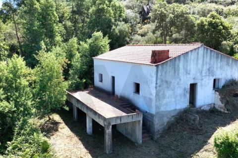 Farm i Estremoz, Evora, Estremoz - € 450.000 | Ref: KWPT-032694 - foto 12
