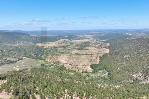 Farm i Estremoz, Evora, Estremoz - € 450.000 | Ref: KWPT-032694 - foto 13
