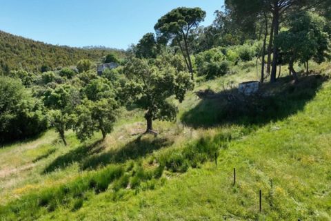 Farm i Estremoz, Evora, Estremoz - € 450.000 | Ref: KWPT-032694 - foto 14