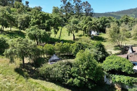 Farm i Estremoz, Evora, Estremoz - € 450.000 | Ref: KWPT-032694 - foto 15