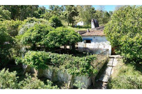 Farm i Estremoz, Evora, Estremoz - € 450.000 | Ref: KWPT-032694 - foto 16