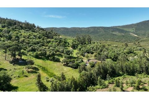 Farm i Estremoz, Evora, Estremoz - € 450.000 | Ref: KWPT-032694 - foto 18