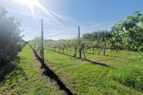 Helårsgrund i Capua, Caserta, Capua - € 39.000 | Ref: 39TERRENO - foto 1
