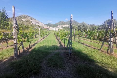 Helårsgrund i Capua, Caserta, Capua - € 39.000 | Ref: 39TERRENO - foto 6