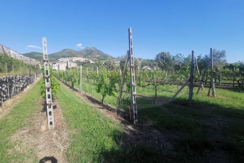 Helårsgrund i Capua, Caserta, Capua - € 39.000 | Ref: 39TERRENO - foto 7