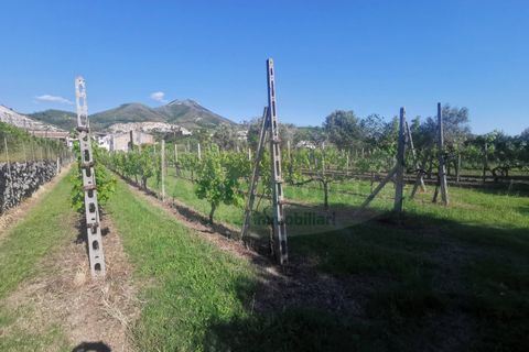 Helårsgrund i Capua, Caserta, Capua - € 39.000 | Ref: 39TERRENO - foto 9