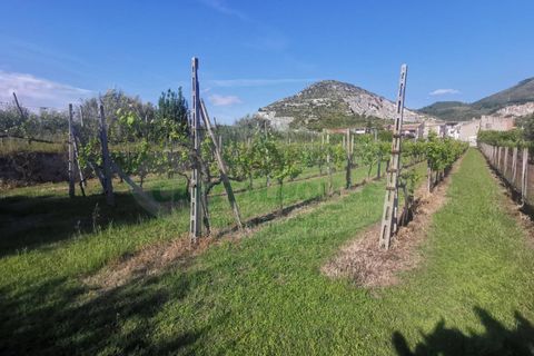 Helårsgrund i Capua, Caserta, Capua - € 39.000 | Ref: 39TERRENO - foto 11