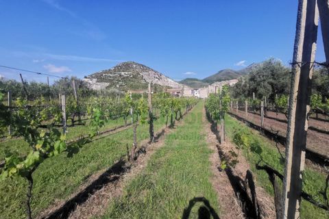 Helårsgrund i Capua, Caserta, Capua - € 39.000 | Ref: 39TERRENO - foto 12
