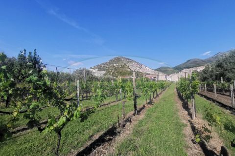 Helårsgrund i Capua, Caserta, Capua - € 39.000 | Ref: 39TERRENO - foto 13
